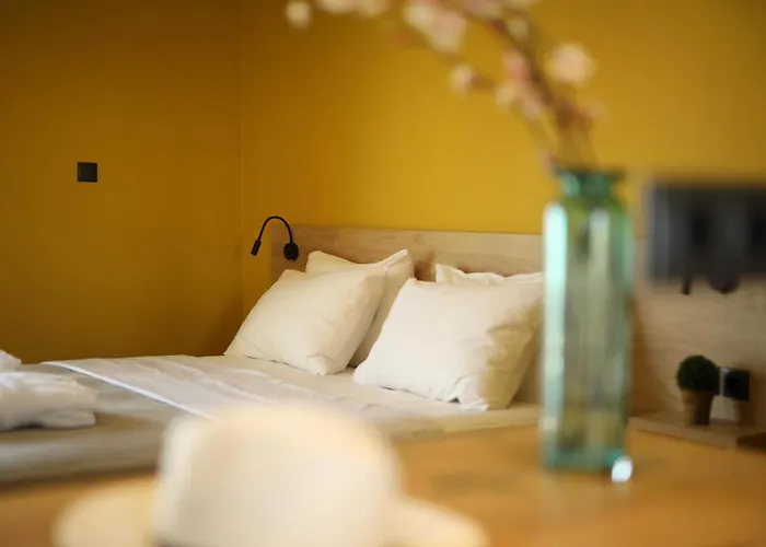 Conte Cristo Paralía